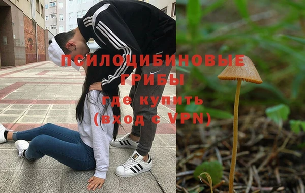 синтетический гашиш Алексеевка