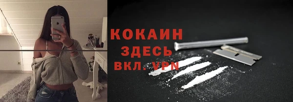 PSILOCYBIN Костерёво