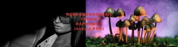 молекула духа Алзамай