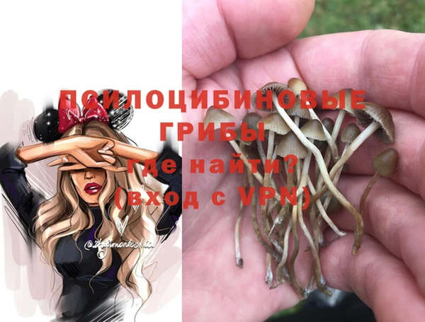 молекула духа Алзамай