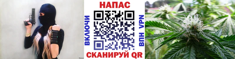 Бошки Шишки сатива Добрянка
